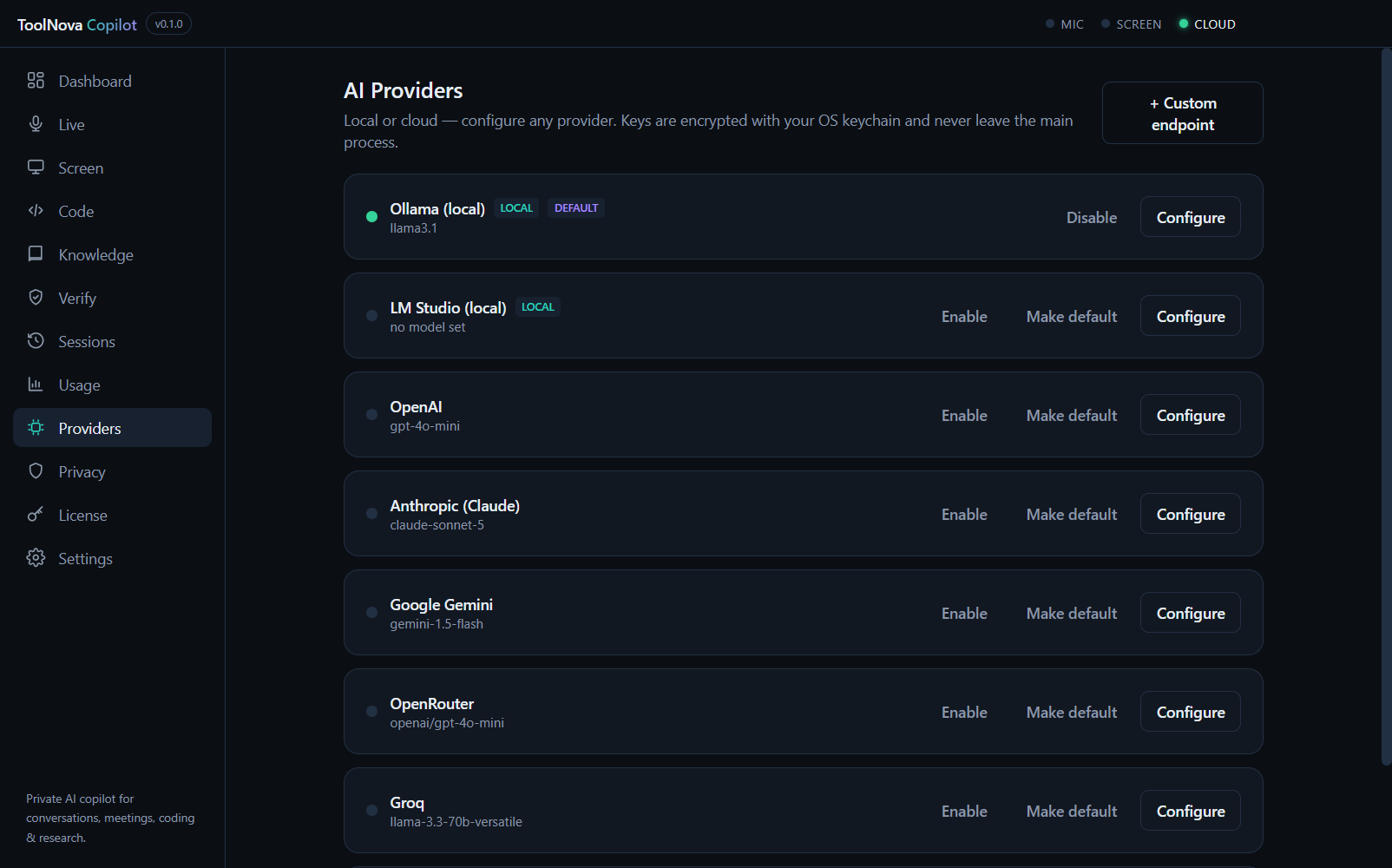 ToolNova Copilot AI Providers screen listing Ollama, LM Studio, OpenAI, Anthropic, Gemini, OpenRouter and Groq